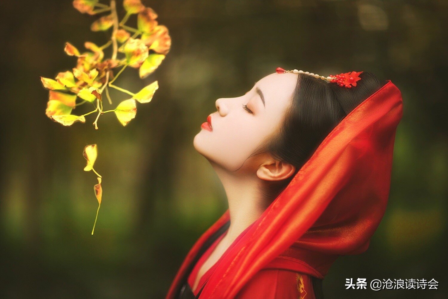 江西美女以诗写心，字字精致唯美，纯粹真情让人动容，细读被感动