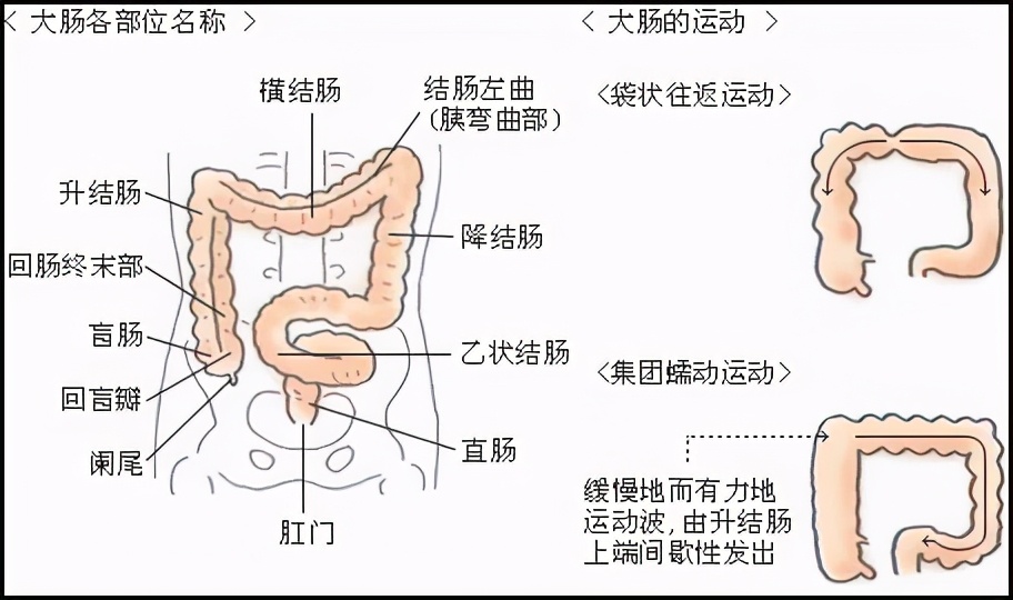 婴儿灌肠怎么操作步骤（科学灌肠）