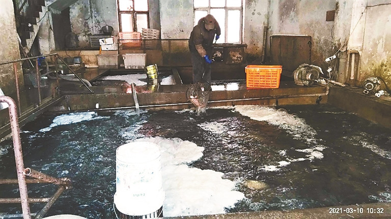 居民楼里有三个大鱼池，都10年了！这房子咋住？