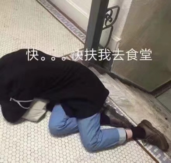 表情包：被生活绊倒