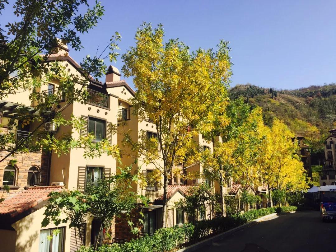 让一切从心出发——海淀外国语签约奥伦达部落·五云山小镇