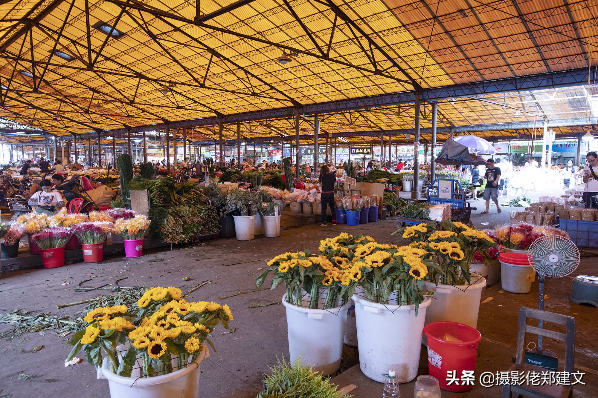 鲜花去哪里批发市场(全国最大的鲜花交易市场"岭南花卉批发市场"又得