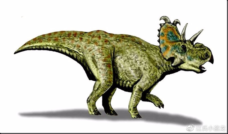 奇特长角恐龙,连古生物学家都分不清