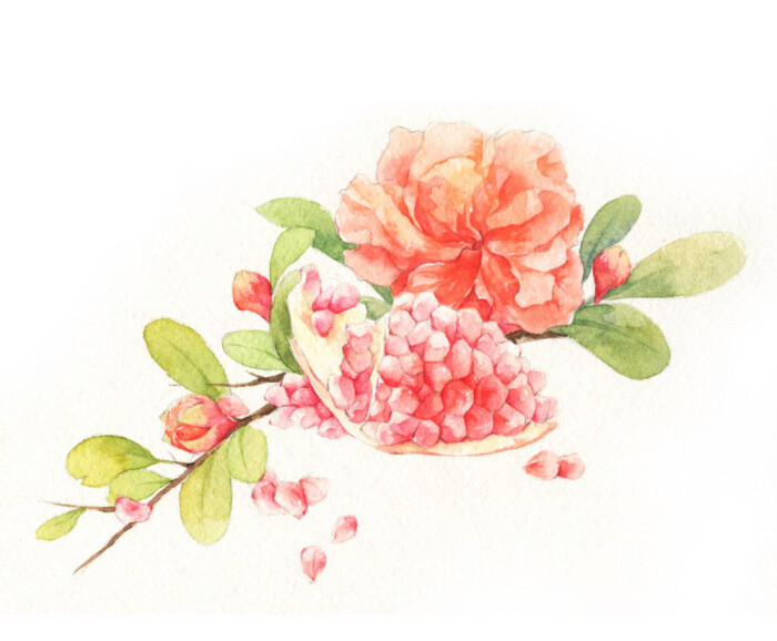 石榴花唯美句子