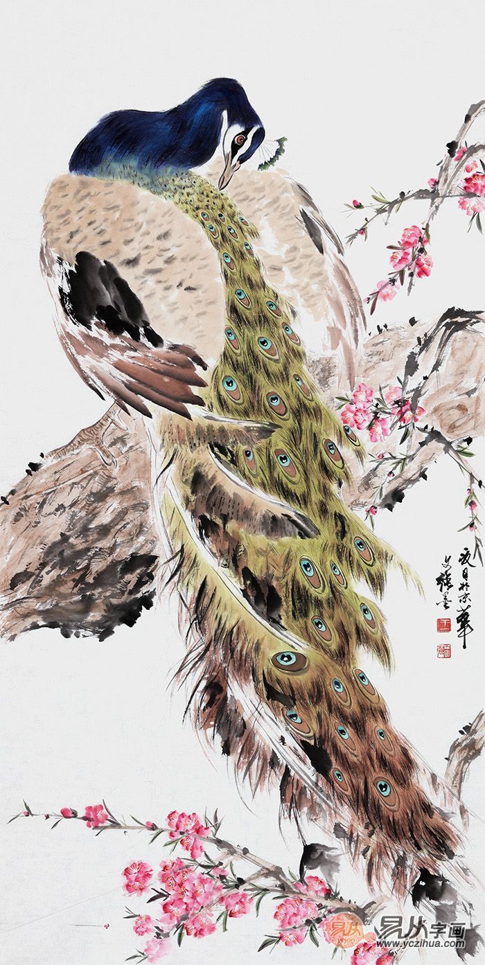 孔雀东南飞！高贵、冷艳的白孔雀