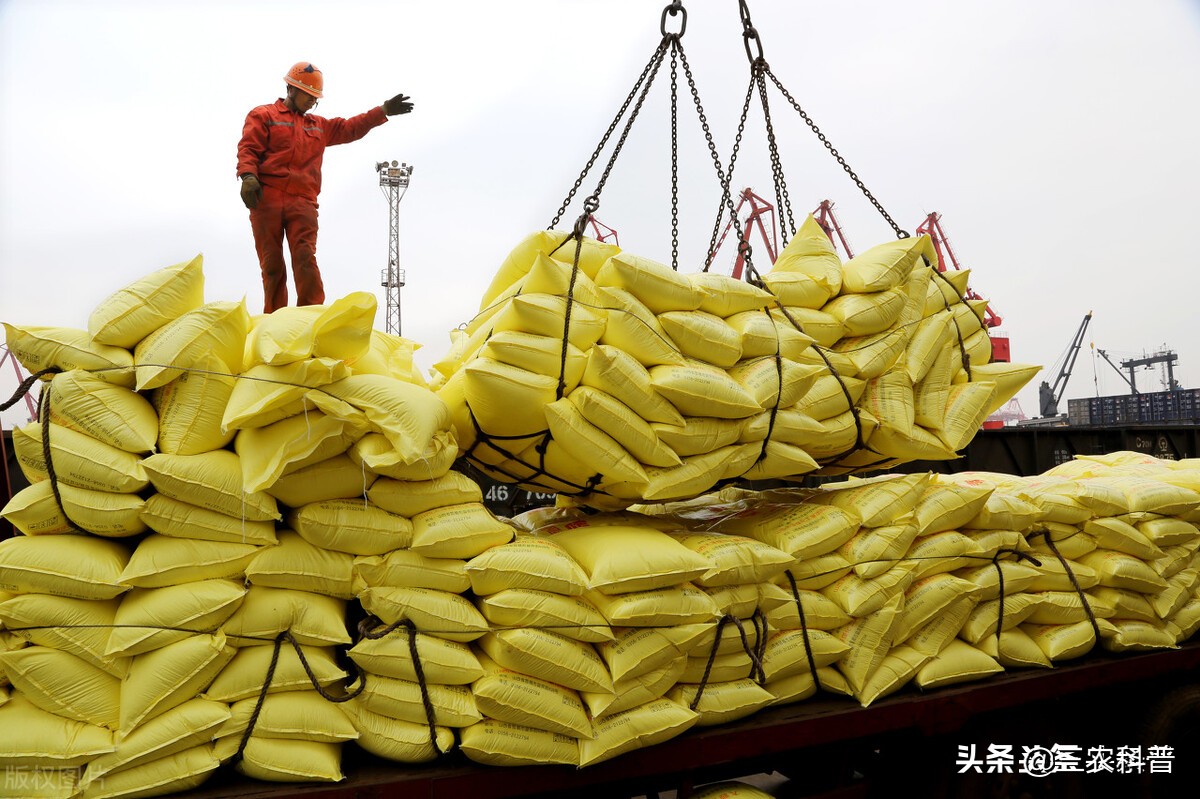 掺混肥十大品牌排行榜出炉，尿素含量创新高引关注