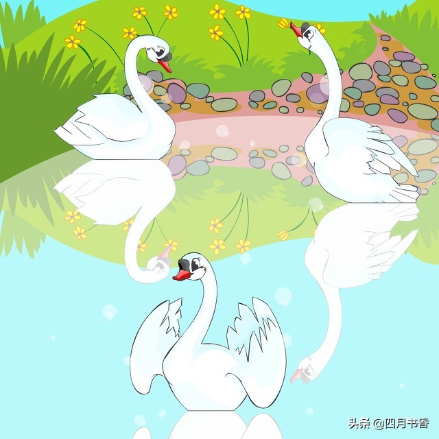 丑小鸭与白天鹅的故事200字 _飞翔号