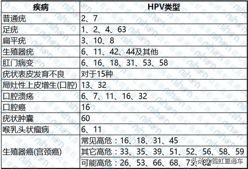 hpv和tct检查多少钱(到底查tct还是hpv)