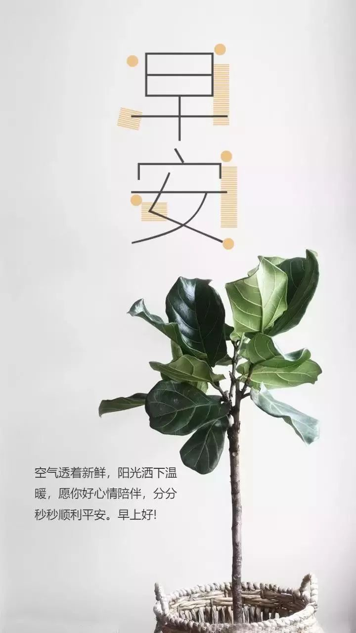 即使没有掌声，也要做一只展翅高飞的雄鹰，早安