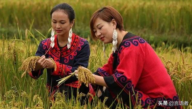 彝族有什么节日（各地彝族的传统节日大全）