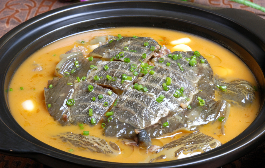 甲魚怎么殺?,甲魚的正確殺法