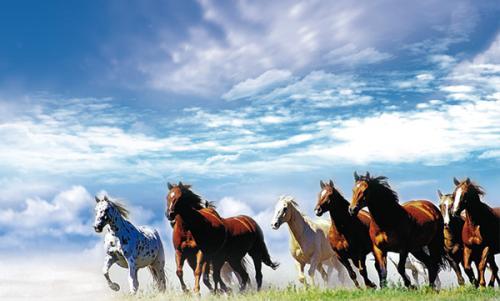 10篇写高三高考的优秀作文：有备战经历、写作方法，可治愈心灵