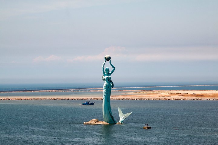 营口鲅鱼圈人口多少鲅鱼圈区面积及人口数量分布