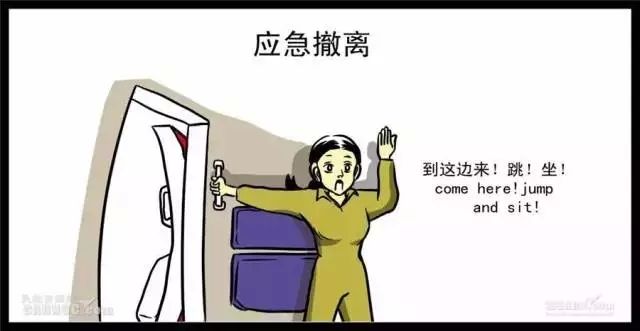 我做空姐的那些年