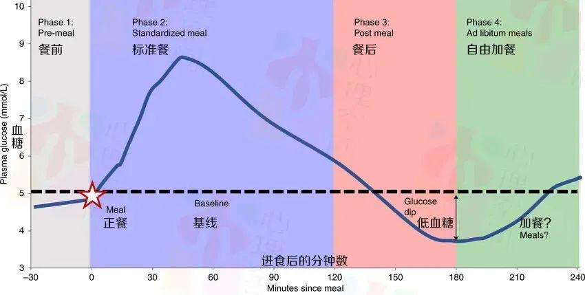 你总饿的原因找到了！其实「血糖」才是进食的控制开关