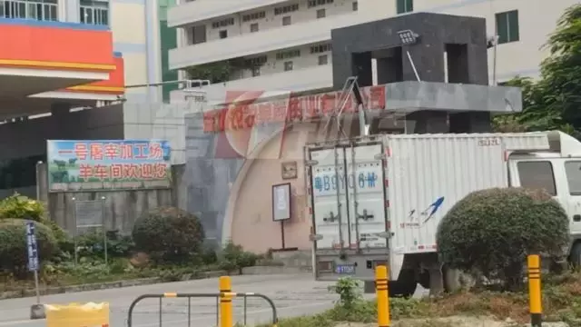 吃饭时勿点!用脚踩、用生石灰泡,这些老牌火锅店的牛肚清洗方法曝光