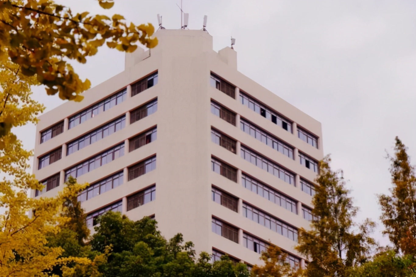 助力“大国重器”！上海这所高校仅用“三根线”创造多项“中国第一”！