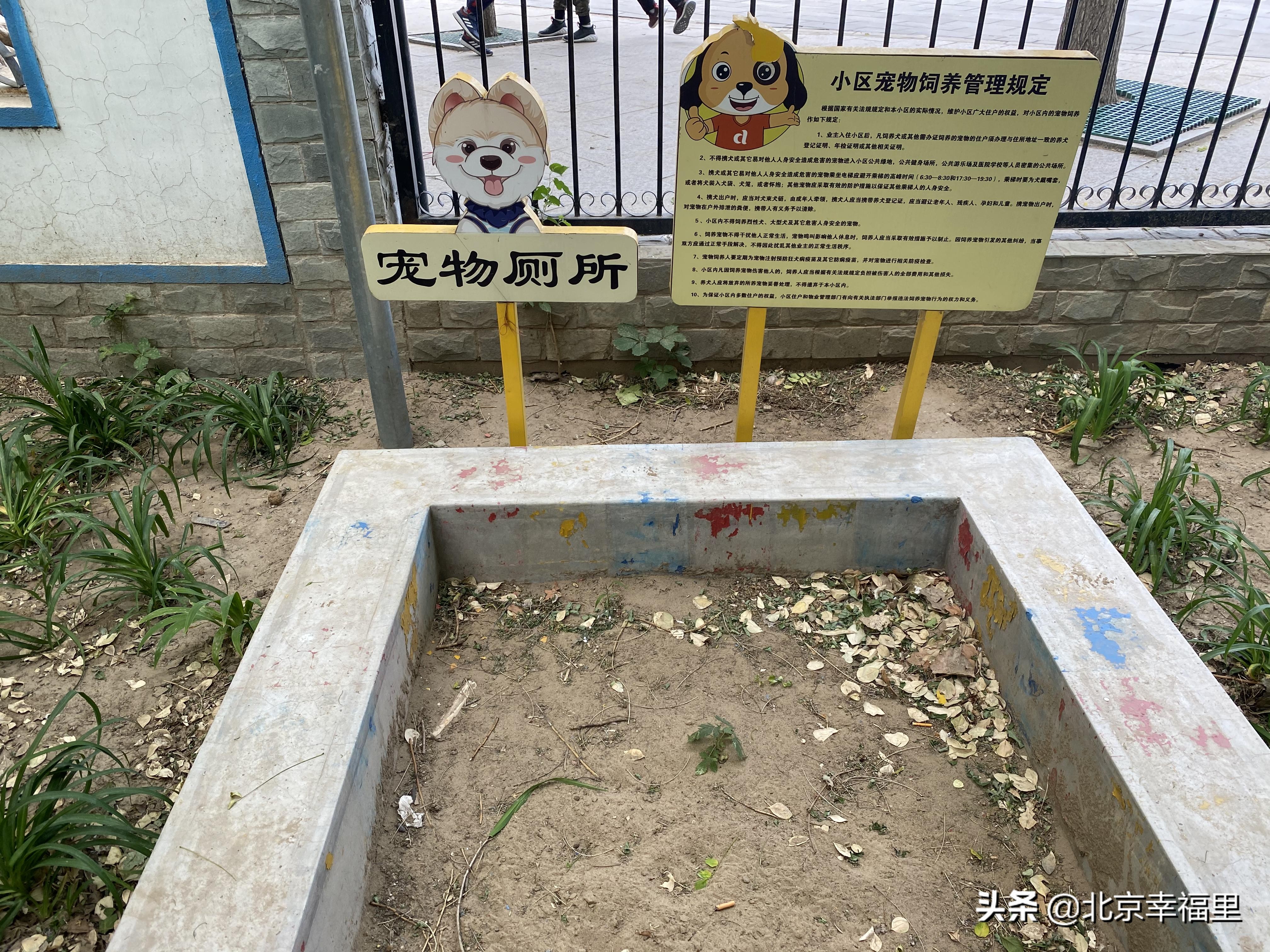 开门见绿、出门看花，城南这个花园式小区你喜欢吗？
