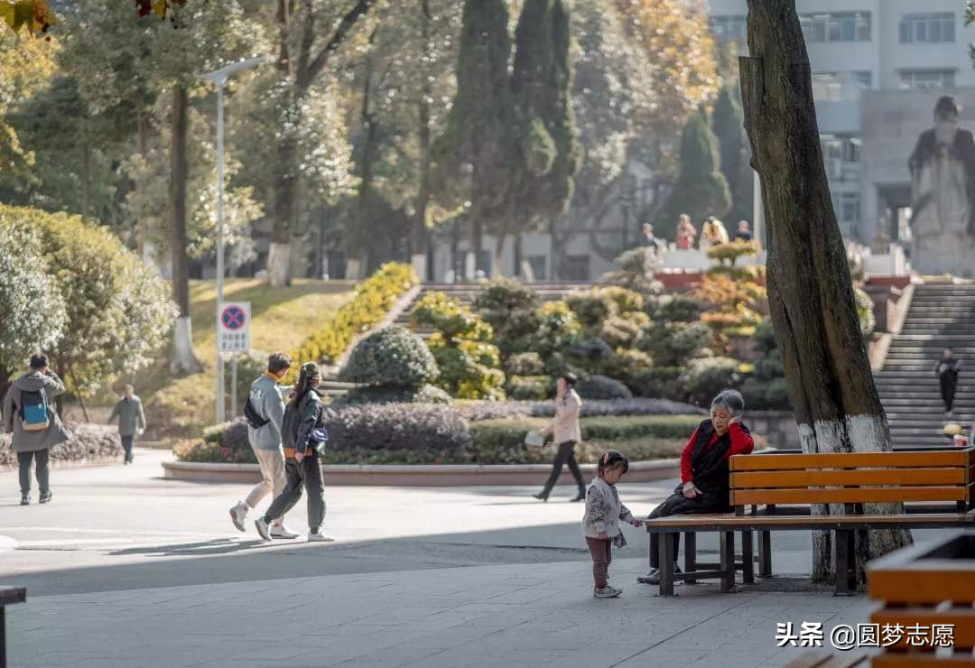 四川师范大学：公费师范生报考条件、录取分数线