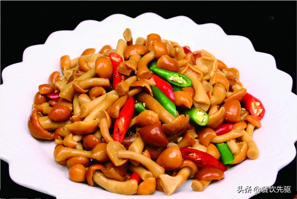 「滑子菇」好吃又美味的珍稀品种——滑子菇