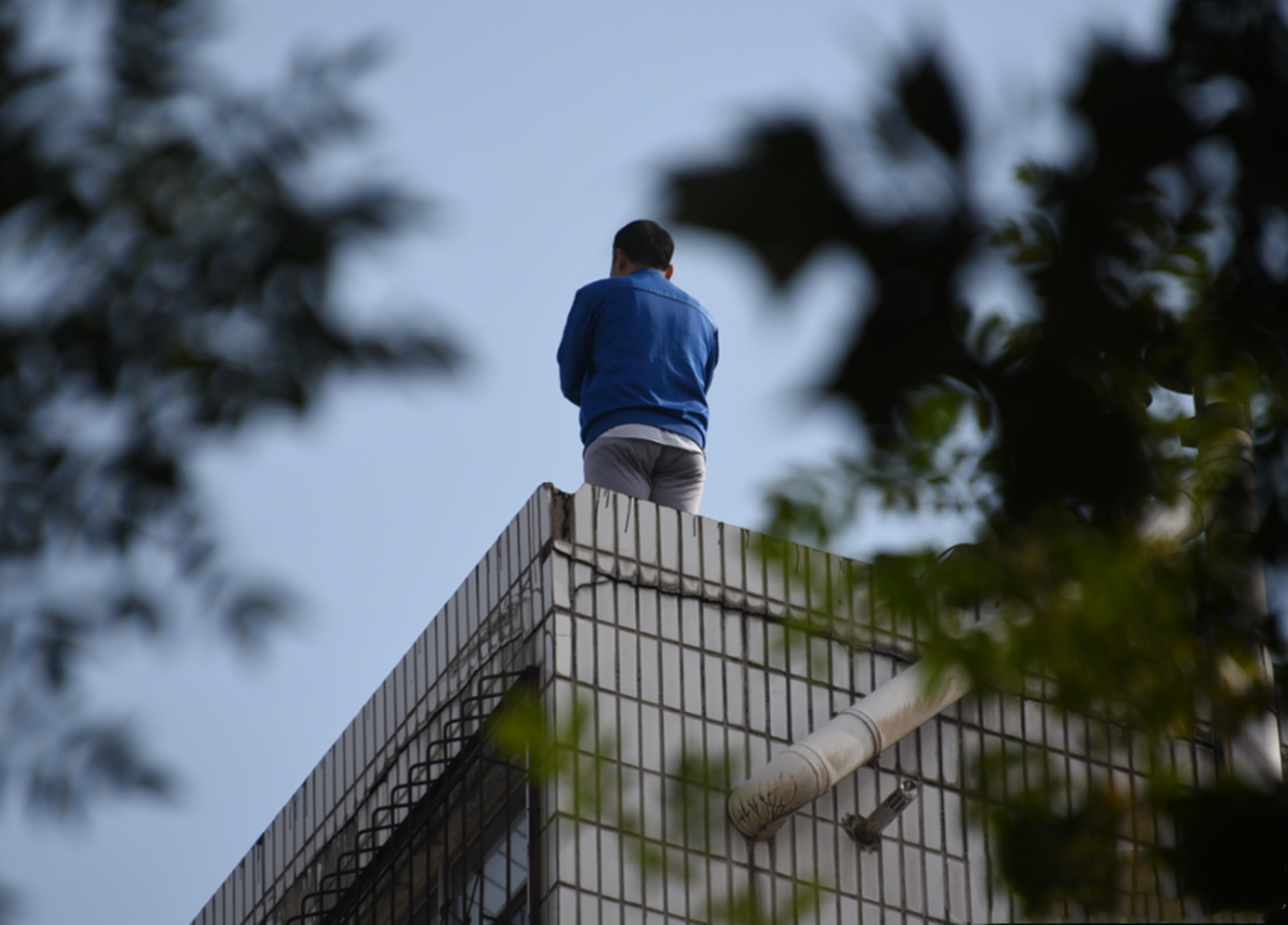 高考自杀有多少人（短短一年）