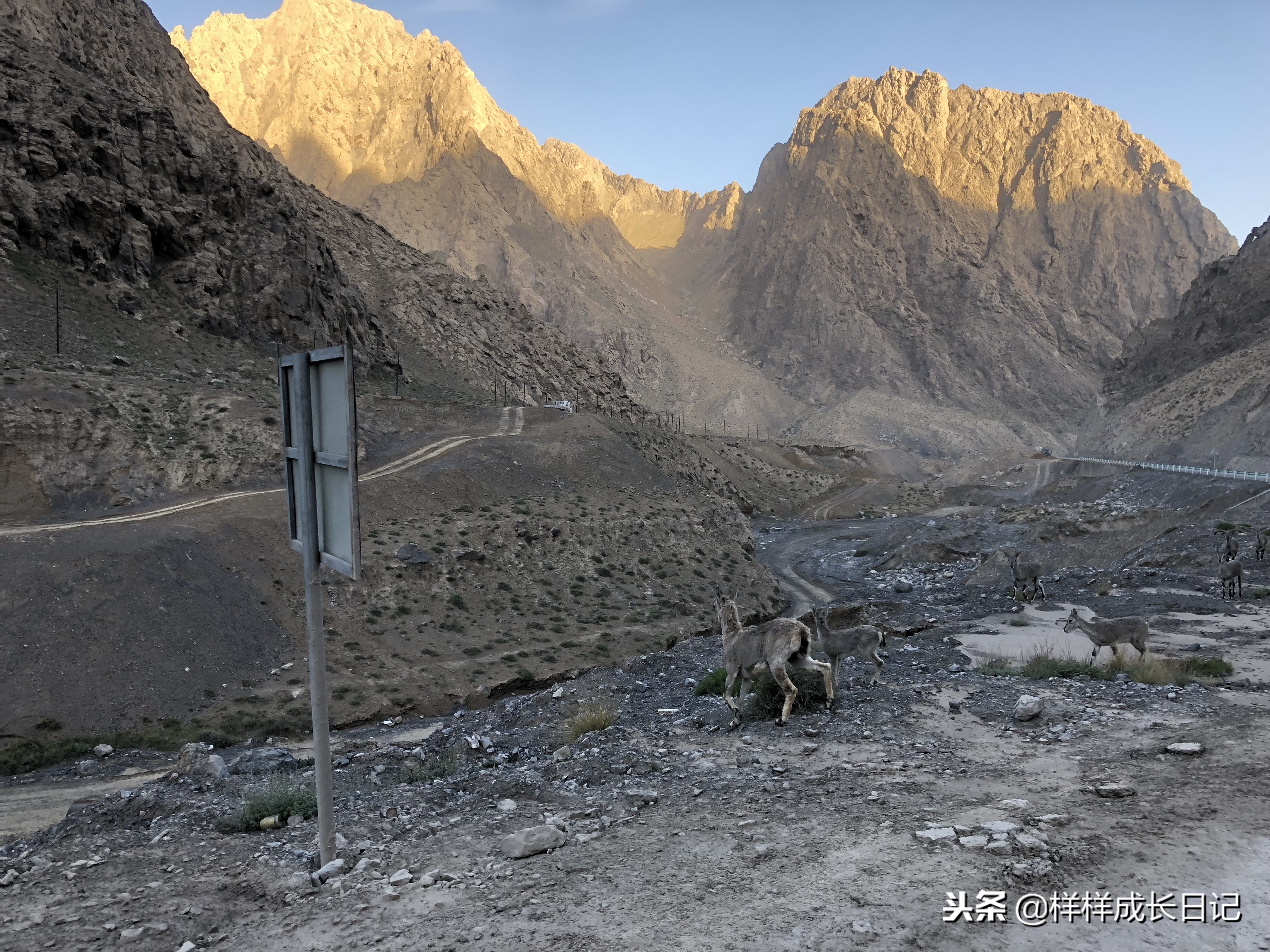 一家三口自驾去新疆，环南北疆27天15000公里，吃住行玩详细攻略