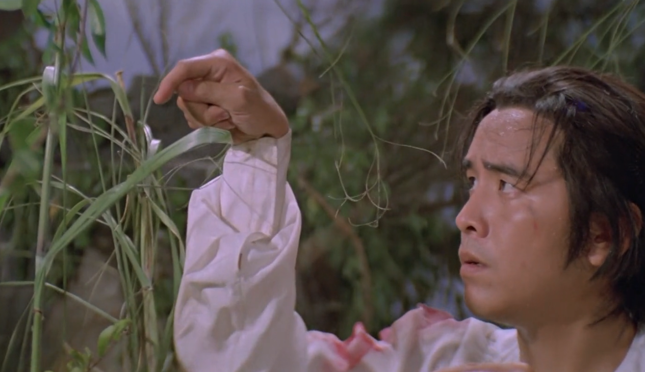 螳螂剧情分集介绍(带你了解一种拳术的诞生)