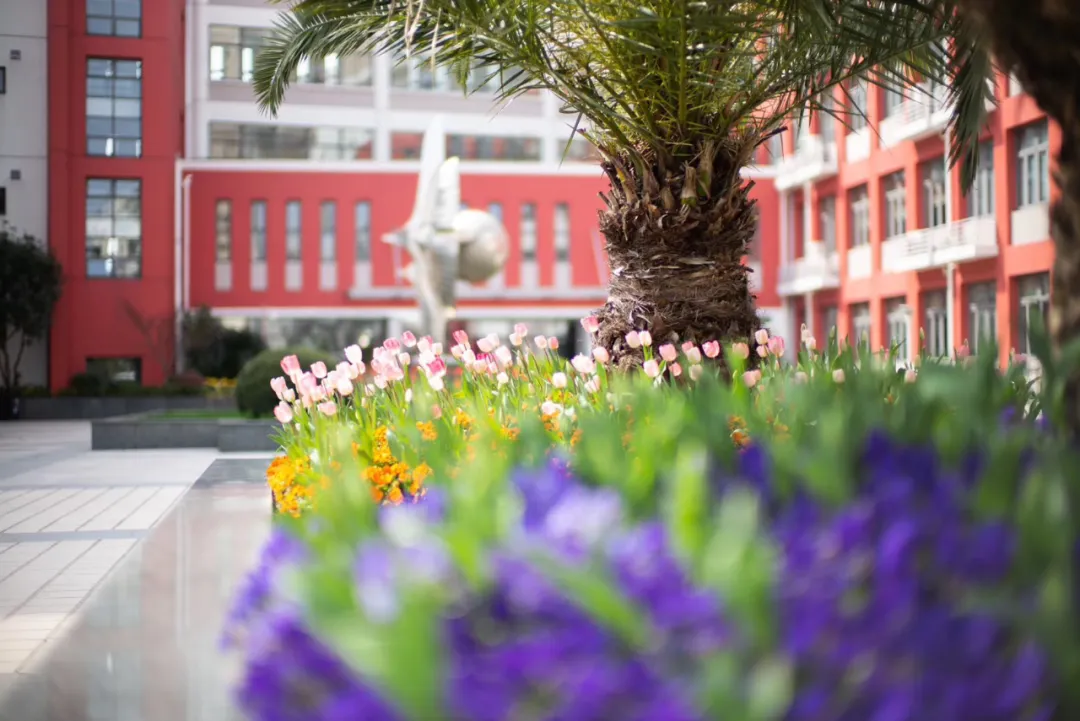 上海最强国际学校大盘点！谁才是魔都“顶流”？