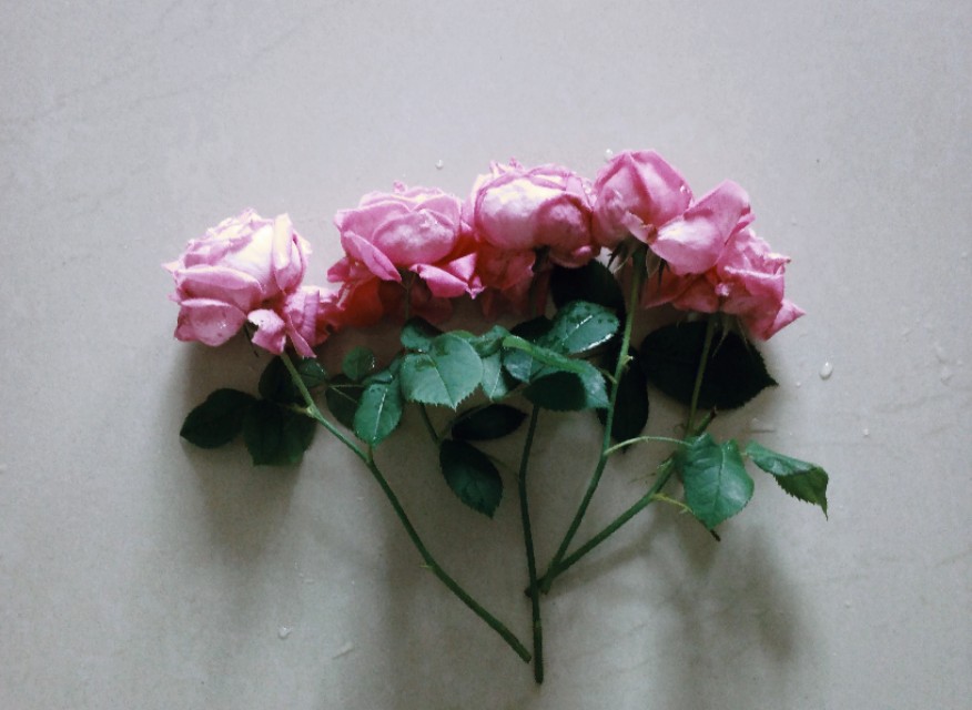 六篇高考满分作文——关于善，关于爱，关于价值，关于情怀