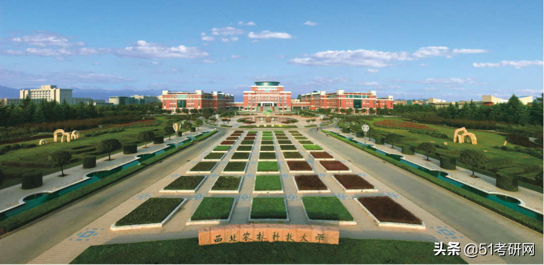 考研看过来，最近上热搜的这所985，说它最好考，没人不同意吧