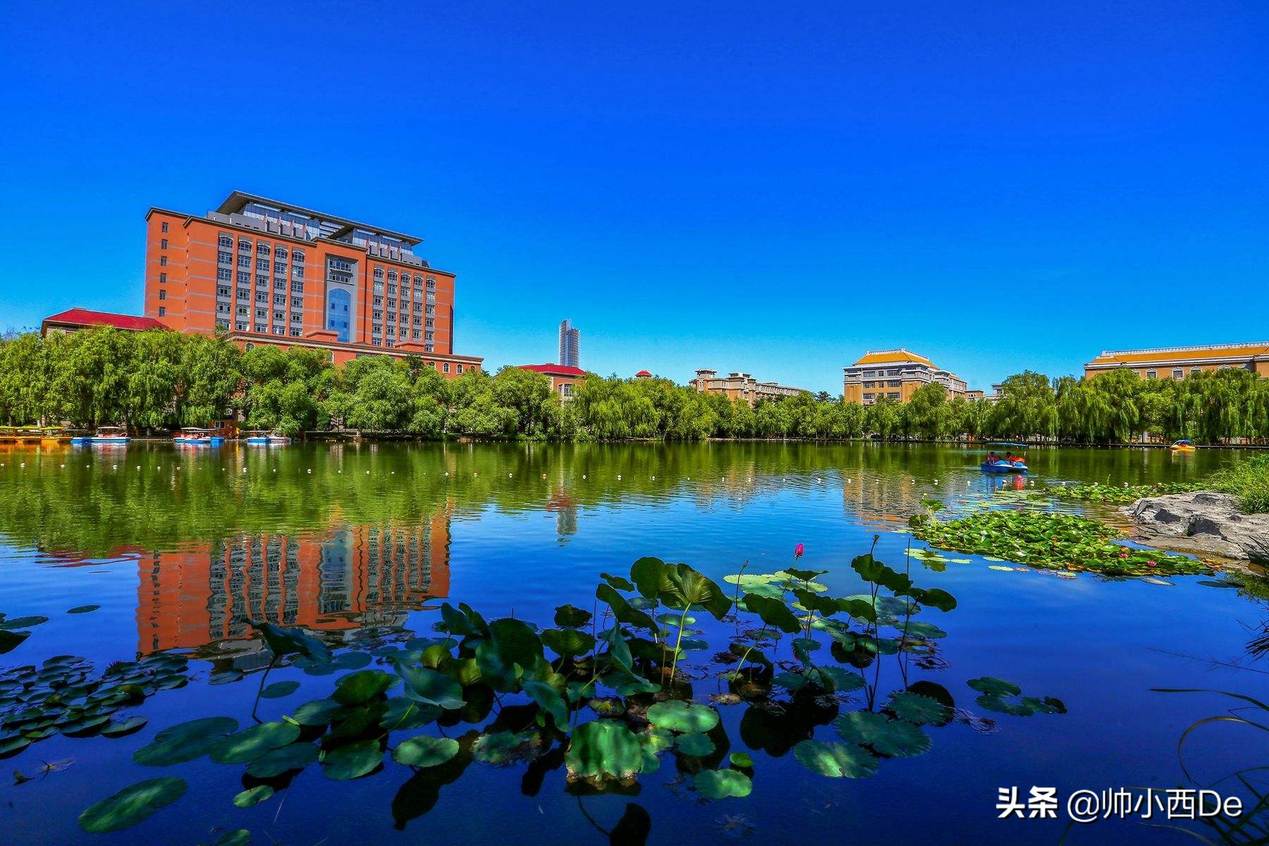 官宣！辽宁省教育厅两次回应，2020年辽宁高校合并事宜最新消息