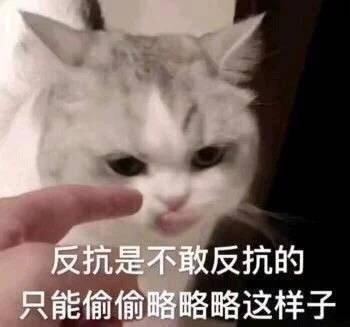 可爱猫咪的表情包我的悲伤大概有这么大