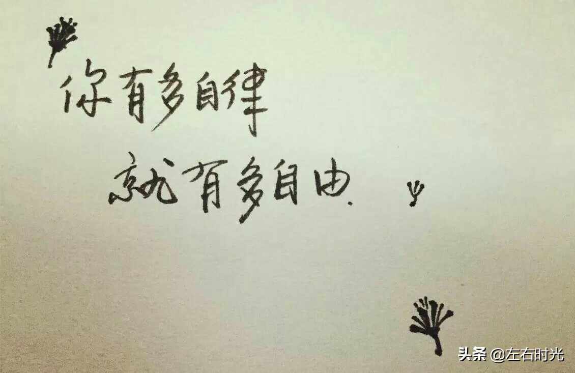 关于自律的二十条名言警句摘录,条条引发深刻的思考