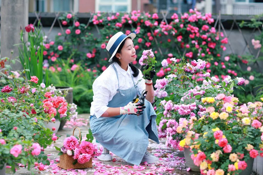 海媽花園訪問|想種花沒地方?重慶小學老師在學校樓頂造了座花園