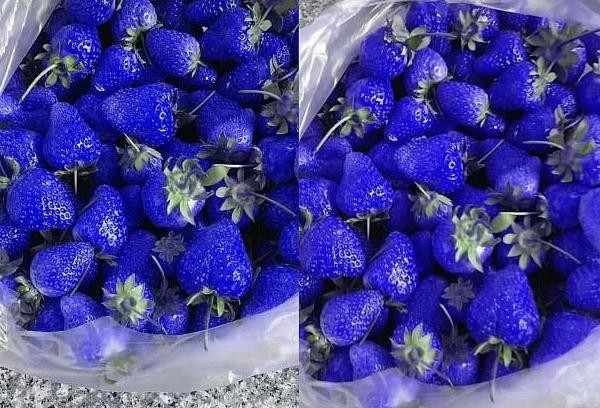 蓝色的水果大全（4种蓝色水果被称为贵族水果）