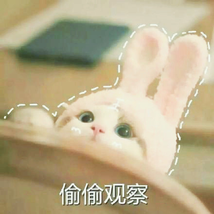 可爱的猫咪表情包合集