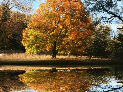 快来向水学习！