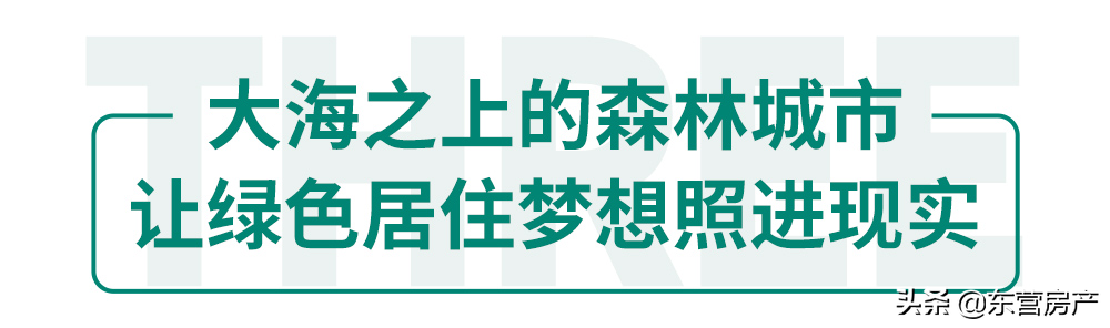 世界地球日|始于感恩，落于行动，爱你不止这一天