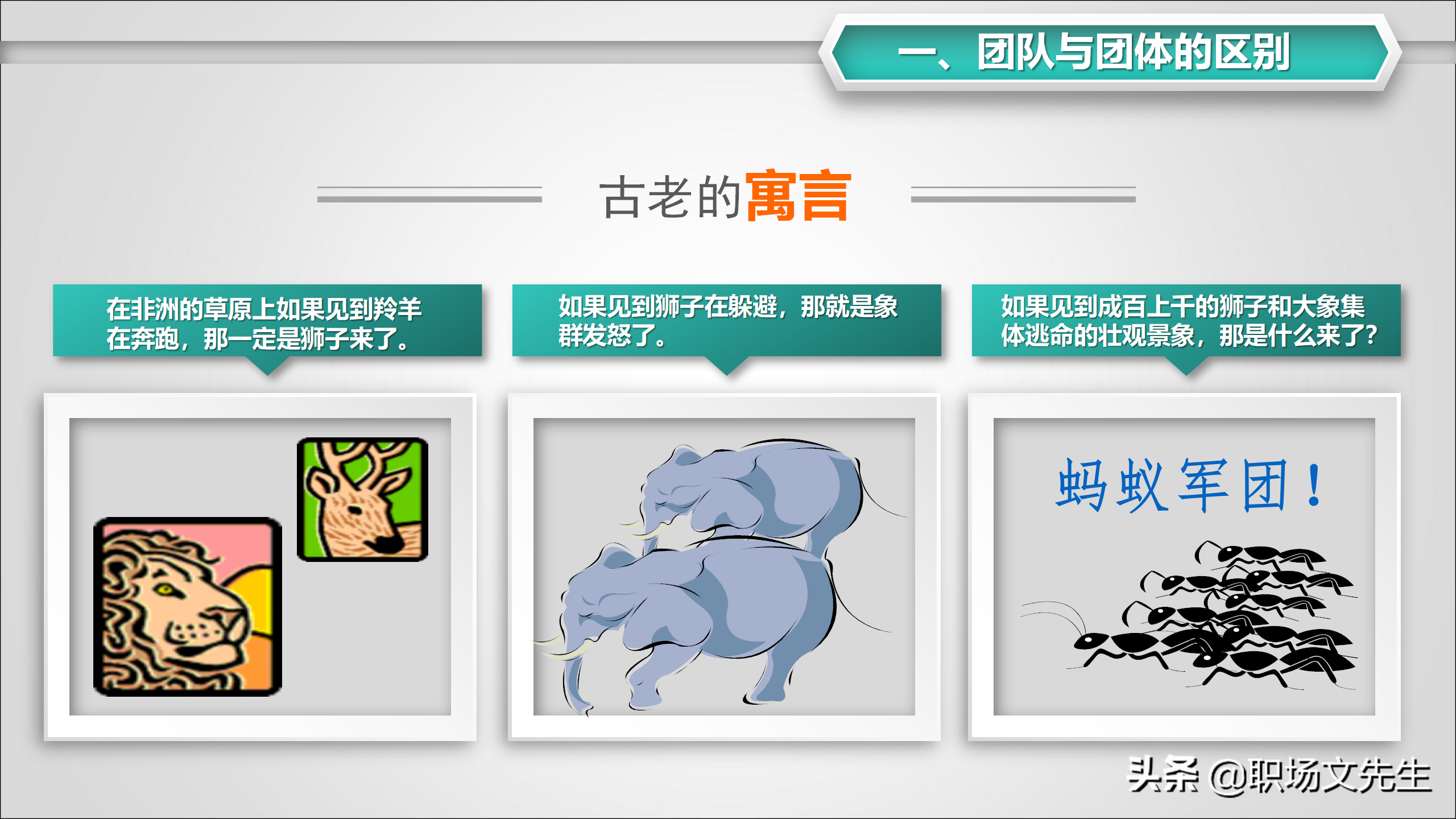 如何与领导、同事、下属沟通？31页怎样打造团队凝聚力，经典