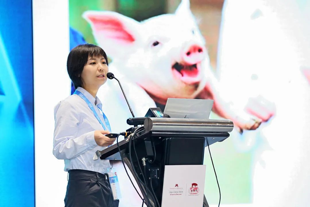 猪价重回7元时代，行业面临四大风险！智慧养猪大势所趋