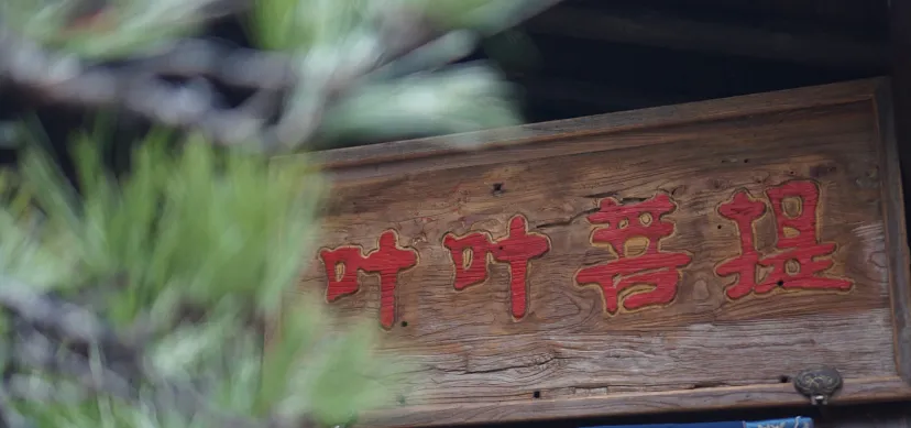 杭州素食餐厅:在一个没有肉的世界,我竟然也能吃到上瘾