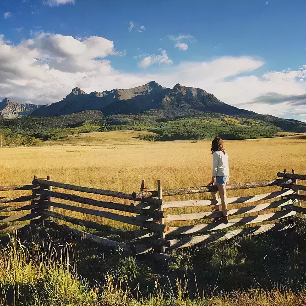 旅游背影女生唯美句子
