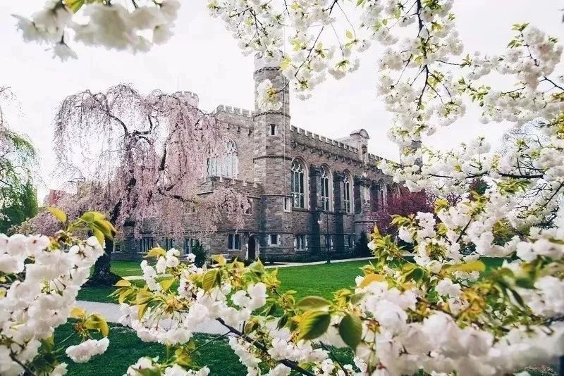 重磅来袭：宾州热门校大盘点！！！