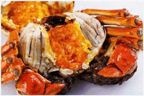 常吃的螃蟹有哪几种(美味螃蟹品种大揭秘)