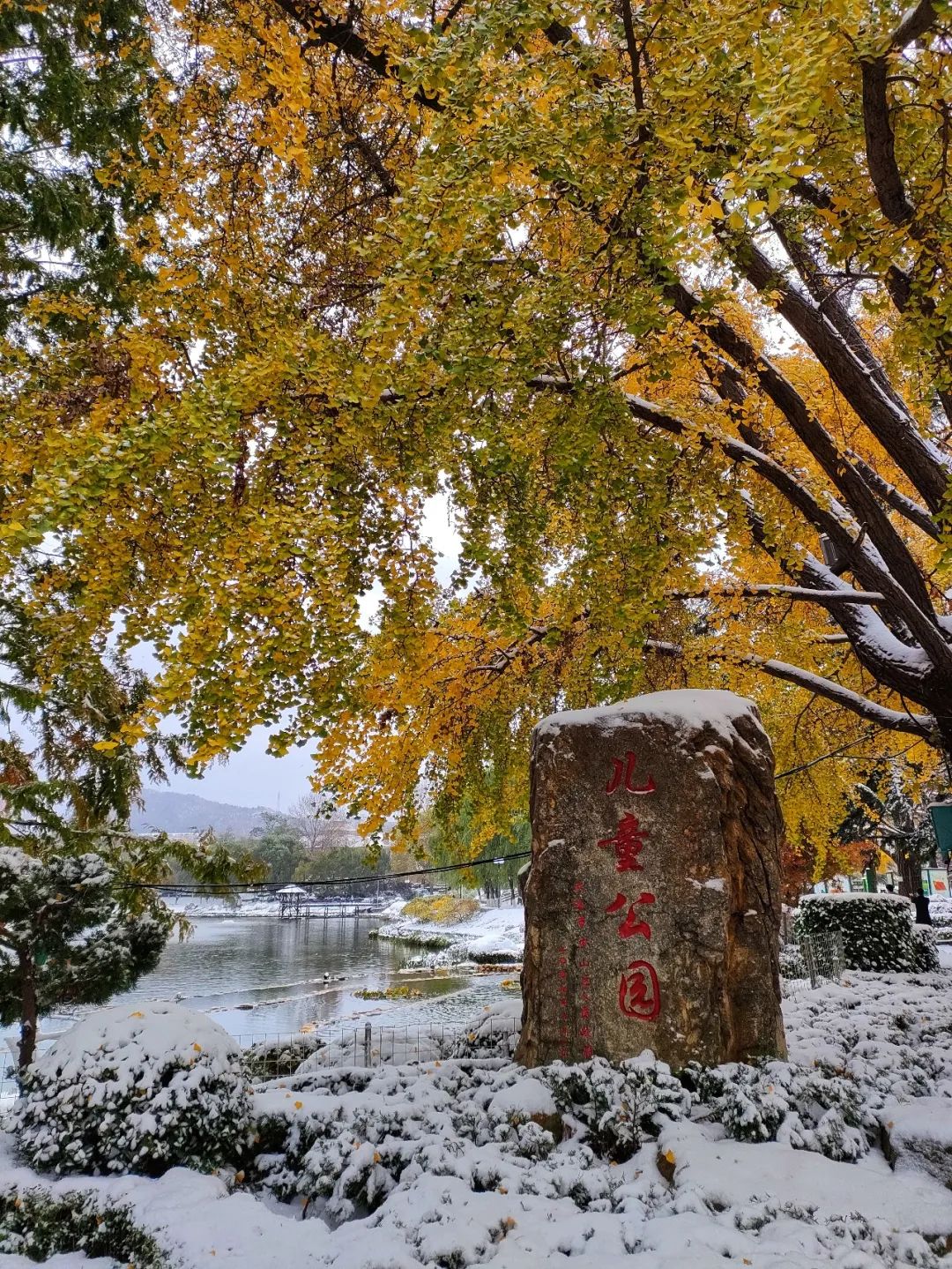 秋与冬的相遇，大连下雪了