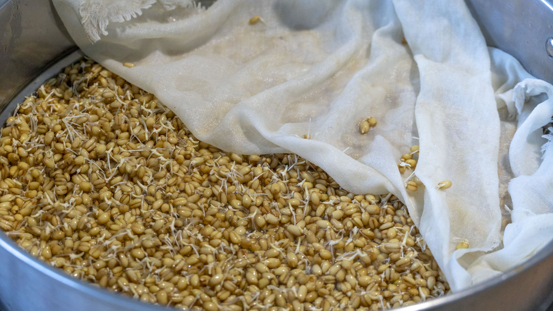 我家从来不买零食，6种自制小零食，没有烤箱也能做，越嚼越香