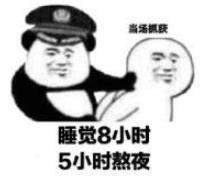 你被逮捕了表情包｜我要逮捕你，因为你偷走了我的心