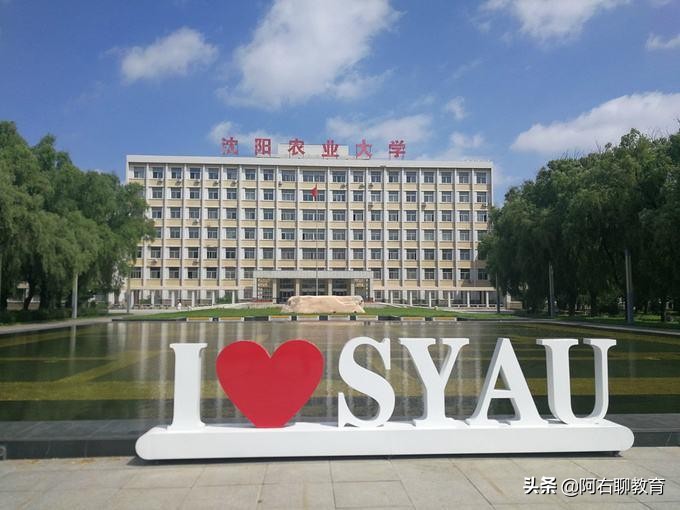 沈阳除了东北大学和辽宁大学外，还有哪些高校比较突出？