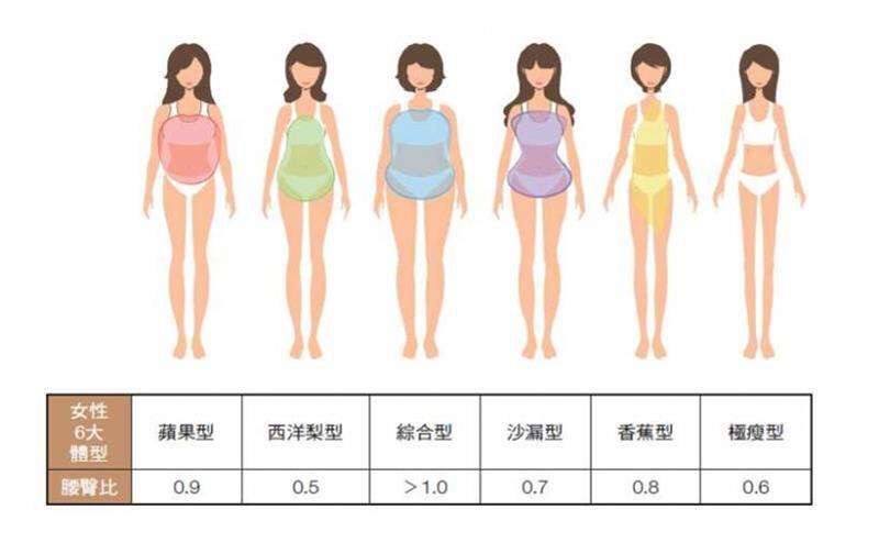 体型分为哪几种类型 女性身材分为哪几种类型