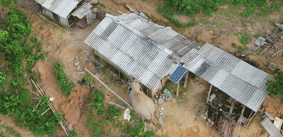 野生亚洲象又调皮了，进村抢粮食破坏房屋，村民称别伤人就行
